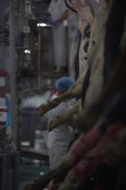 Coordenação de Higiene e Segurança no Trabalho